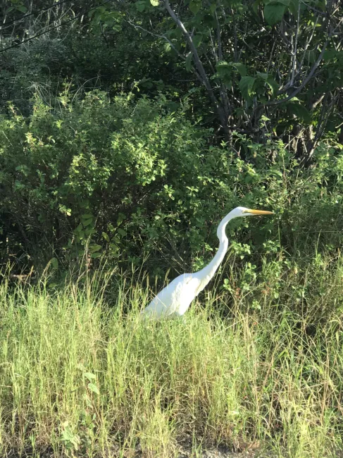 LITTLE CAYMAN CORNER LOT FOR SALE