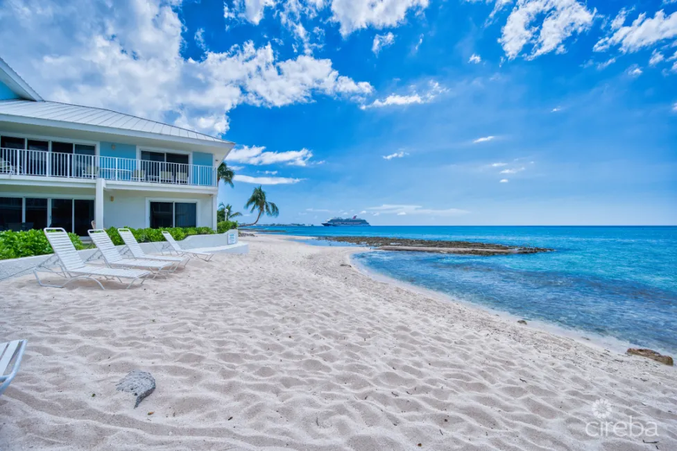 GRAPETREE CONDO ON SEVEN MILE BEACH