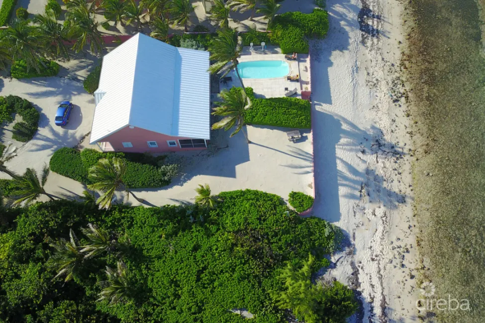 CAYMAN DREAM