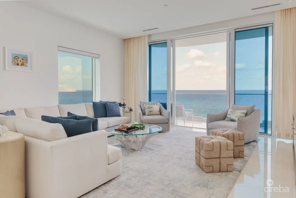 FIN PENTHOUSE 29