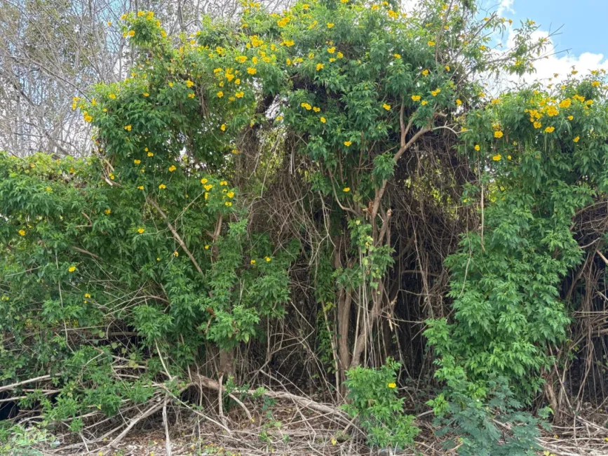 NATURE'S CIRCLE PARCEL