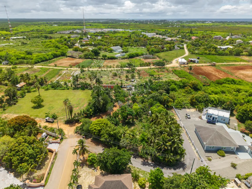 DEVELOPMENT OPPORTUNITY - HIGH & DRY LOT IN NORTHWARD - .53 ACRES