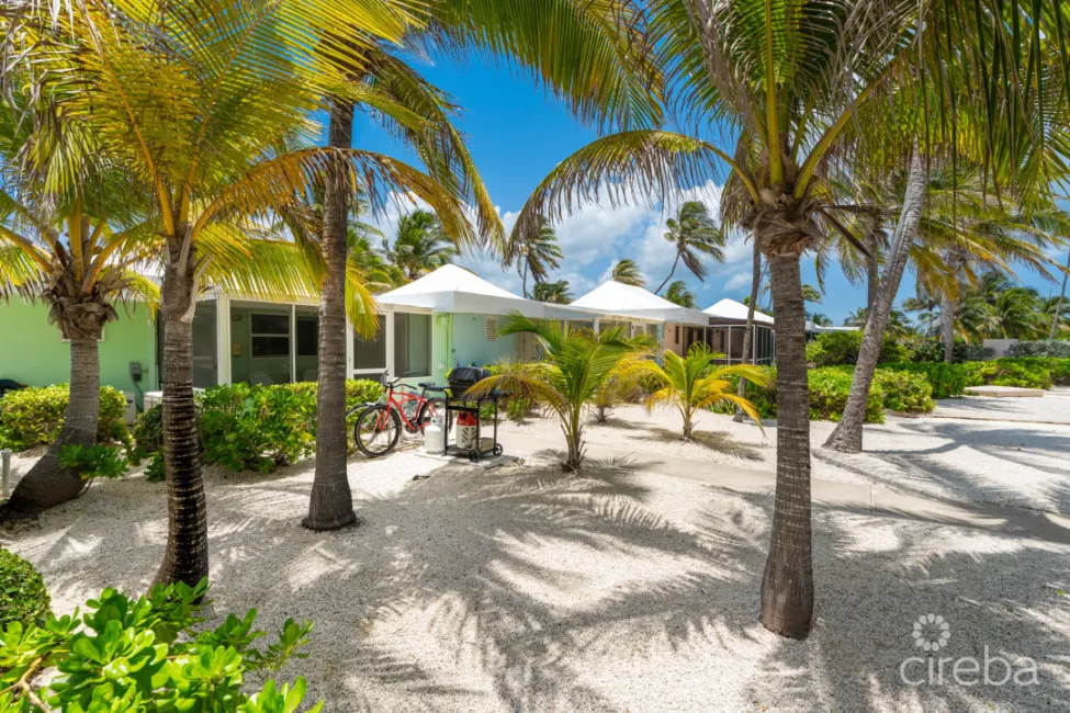CAYMAN KAI SEALODGE #13 BEACHFRONT CONDO WITH IMPRESSIVED RENTAL HISTORY
