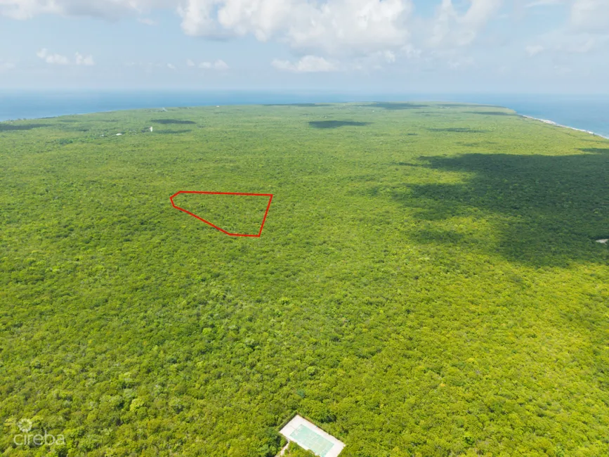 2.5 ACRES - CAYMAN BRAC BLUFF