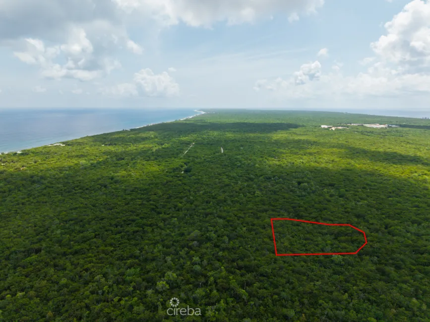 2.5 ACRES - CAYMAN BRAC BLUFF