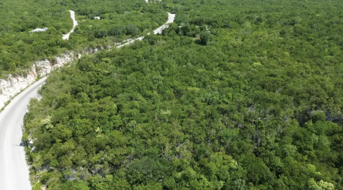 BLUFF EDGE AT THE CREEK