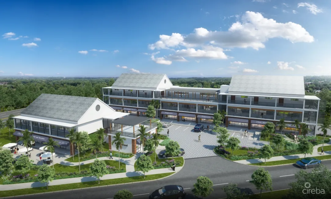 THE SHOPS AT BUTTONWOOD