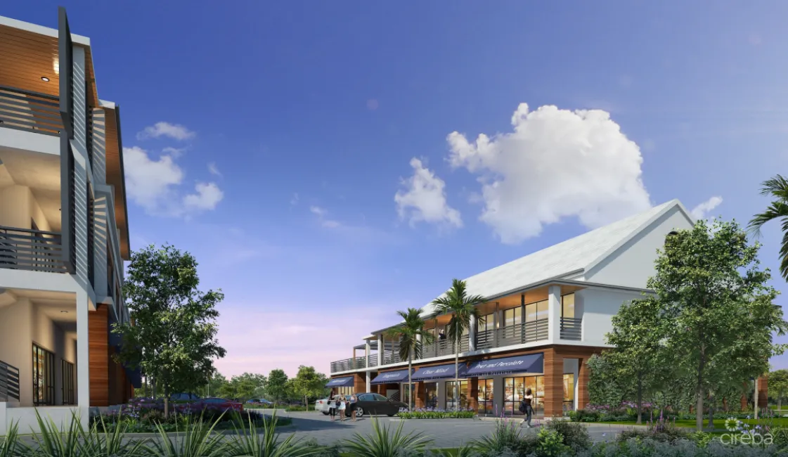 THE SHOPS AT BUTTONWOOD