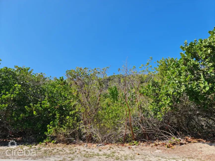 View to Bluff from South Side Road
